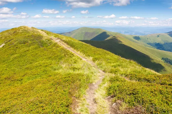 Yazın Carpathian sıradağları boyunca yol. Güneşli bir günde benekli ışıkta patikalı ve dik çimenli yamaçlı alp manzarası. Mavi gökyüzünde ufukta kabarık bulutlar