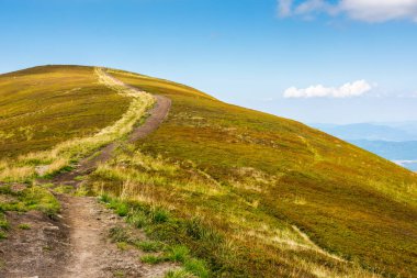 Dik tepeye giden yol. Yazın Karpatlar 'ın dağ manzarası. Güneşli bir günde mavi gökyüzünde kabarık bulutlar olan Ukrayna dağlarının çimenli dağlık manzarası. Başarı kavramına zor yol