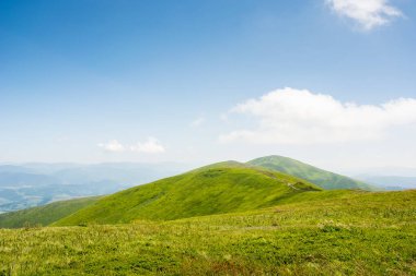 Yazın Ukrayna 'nın Karpat Dağları manzarası. Panoramik İskoçya. Güneşli bir günde, mavi gökyüzünün altında, yeşil tepeler ve çimenli çayırların harika doğa manzarası. popüler seyahat hedefi