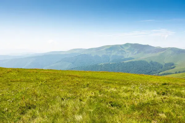 Yazın Ukrayna 'nın Karpat Dağları manzarası. panoramik manzara. Güneşli bir günde, mavi gökyüzünün altında, yeşil tepeler ve çimenli çayırların harika doğa manzarası. popüler seyahat hedefi