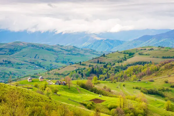Baharda dağlık kırsal alan. Organik tarım arazilerinin muhteşem manzarası. Tepelerdeki ağaçlar ve tarımsal tarlalar uzak vadiye doğru akıyor. Bulutlu bir gökyüzünün altında, benekli ışığın altında.