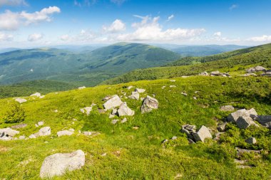 Yazın yeşil dağlık tepeler ve yamaçlar. Mavi gökyüzünün altında bulut olan çimlerin arasında taş ve kayalarla kaplı bir manzara. seyahat geçmişi. Güneşli bir sabahta Ukrayna dağlarında manzaralı tatiller