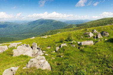 Yazın yeşil dağlık tepeler ve yamaçlar. Mavi gökyüzünün altında bulut olan çimlerin arasında taş ve kayalarla kaplı bir manzara. Güneşli bir sabahta Ukrayna dağlarında vadi manzaralı tatillere bakmak