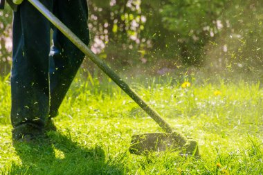 Parkta çim biçme makinesiyle kesilmiş. Güneşli arka plan. Bahçe bakımı doğa konsepti. Çalışan benzin fırçasıyla olay yeri