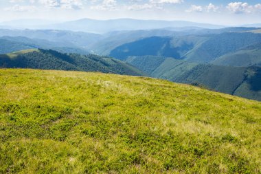 Çimenli Alp çayır manzarası. Vadi manzarası. Borzhava sırtı manzaralı Karpatya dağ manzarası. Yazın güneşli bir günde Ukrayna 'nın popüler seyahat merkezi. ufukta bulutlar