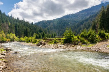 İlkbaharda yeşil vadiden akan nehir. Uzak vadi. Tepedeki ladin ormanı. Karpatya dağlarının kırsal kesimindeki resimsel doğa. Mavi gökyüzü altında bulutlarla seyahat etmek için sakin bir gün.