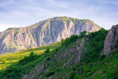 İlkbaharda Romanya 'nın dağ manzarası. Açık hava macerası. Kaya oluşumu ve sabah ışığında çimenli tepe. Valisoarei Vadisi 'nin manzarası. Avrupa seyahati