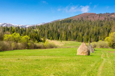 İlkbaharda Ukrayna 'nın dağlık kırsal manzarası. Açık hava macerası. Güneşli bir sabahta kırsal bir manzara. Tepedeki kozalaklı orman. Saman yığını ve ahşap çit mavi gökyüzünün altındaki yeşil çimenlik çayırda