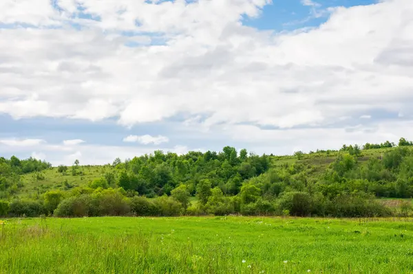 Ormandaki tepenin yanındaki tarlada. Baharda Ukrayna 'nın yeşil kırsal manzarası. Sabahları bulutlu gökyüzünün altında çimen manzarası çok güzeldir. Avrupa 'daki tarım arazileri veya otlaklar için arka plan