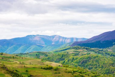 Baharda dağlık kırsal alan. Ukrayna Alpleri. Tepelerdeki ağaçlar ve tarımsal tarlalar uzak vadiye doğru akıyor. Bulutlu bir gökyüzünün altında, benekli ışığın altında. kırsal çevre