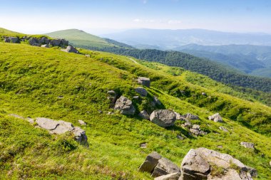 Tepenin yamacında beyaz keskin taşlar var. Yazın güzel bir Karpatya dağ manzarası. Alp otlarının arasına dağılmış dev kayalar. Pürüzsüz dağın çarpıcı arazisi. Çayırda ağır kumtaşı