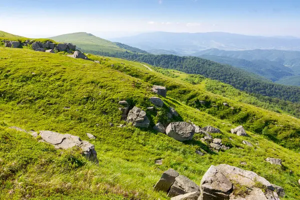Tepenin yamacında beyaz keskin taşlar var. Yazın güzel bir Karpatya dağ manzarası. Alp otlarının arasına dağılmış dev kayalar. Pürüzsüz dağın çarpıcı arazisi. Çayırda ağır kumtaşı