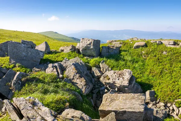 Tepenin yamacında beyaz keskin taşlar var. Yazın güzel bir Karpatya dağ manzarası. Tatil sezonu geçmişi. Alp otlarının arasına dağılmış dev kayalar. Pürüzsüz dağın çarpıcı arazisi
