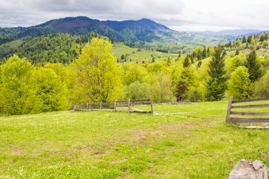 Tepedeki çitin yanındaki ahşap çit. İlkbaharda Transcarpathia 'nın dağlık kırsal manzarası. Güzel bir kır manzarası var, tarlada çimenler ve yamaçta ormanlar bulutlu bir gökyüzünün altında.