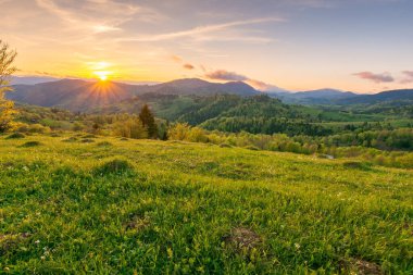 Akşam ışığında kırsal alan manzarası. Baharda dağ manzarası. Kırsal doğa arka planında yeşil çayır ve orman tepede bulutların altında gökyüzünde 