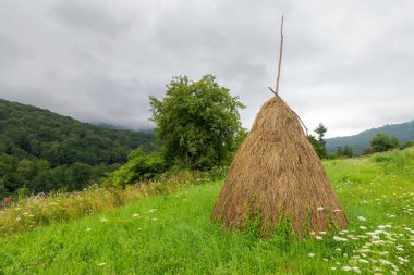 Çimenli yamaçta saman yığını. Yazın dağlık bölgede kırsal alan. Remore Karpatya Bölgesi. Kasvetli kırsal alan Ukrayna bulutlu bir günde