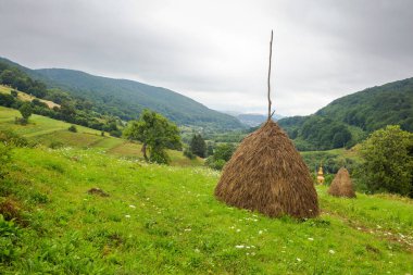 Çimenli yamaçta saman yığını. Yazın dağlık bölgede kırsal alan. Uzak vadideki köy. Kasvetli kırsal bölge Ukrayna bulutlu bir günde. organik çayır
