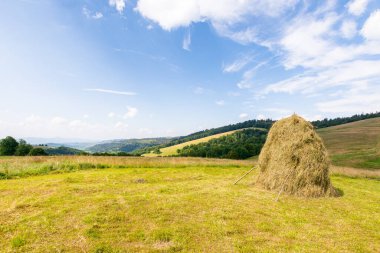 Yazın Transcarpathia kırsal manzarası. Alp otlağı. Otlak arazide saman yığını. Güneşli bir öğleden sonra Ukrayna 'nın dağlık kırsal manzarası. Açık hava macerası. Bulutlu mavi gökyüzü