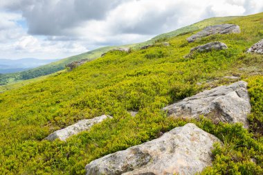 Karpatların benekli ışıktaki güzel manzarası. macera sezonu. Bulutlu bir günde dağlarda harika bir yaz manzarası. Tepenin yamacından manzaralı. Runa olarak bilinen dağ, Ukrayna