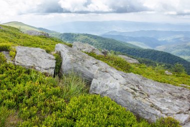 Karpatların benekli ışıktaki güzel manzarası. Yamaçta taş var. Bulutlu bir günde dağlarda harika bir yaz manzarası. Tepenin yamacından manzaralı. Runa olarak bilinen dağ, Ukrayna