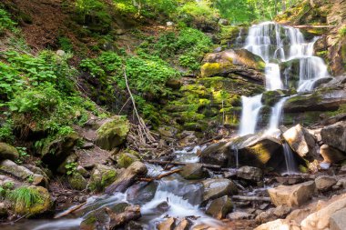 Yazın Karpat Dağları 'nın şelale çukuru. Manzaralı. Sabahın ilk ışıklarıyla manzara. Ukrayna 'nın popüler seyahat yeri. Ekoloji günü geçmişi. Ormandaki yosunlu kayaların üzerinde çağlayan kayalar.