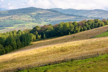 Dağların çimenli tepesinde kırsal alan manzarası. Noktalı ışık. Güneşli bir günde Ukrayna Karpatlarının güzel kırsal bölgeleri. Alp otlaklarının manzarası ve uzak vadi