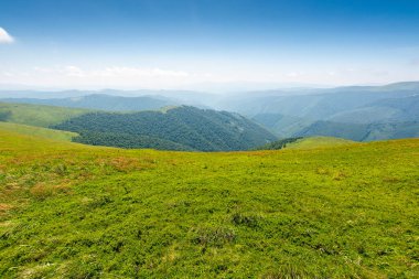 Gökyüzünde bulutlar olan dağdaki yeşil çayır. Tatil sezonu. Yazın Ukrayna Karpatlarının doğa manzarası. Transcarpathia 'nın harika seyahat manzarası. Ufukta yuvarlanan tepelerin manzarası