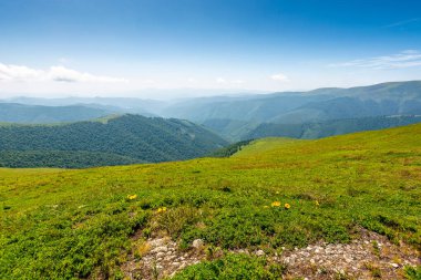 Gökyüzünde bulutlar olan dağdaki yeşil çayır. Yazın Ukrayna Karpatlarının doğa manzarası. Transcarpathia 'nın harika seyahat manzarası. Ufukta yuvarlanan tepelerin manzarası