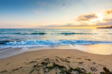 Öğleden sonra boş bir sahil. Karadeniz 'in güzel manzarası. Güneşli bir hava. Dalgalar kıyıdaki kumu yıkıyor. Sabah ışığında parlayan bulutlar. Sakin bir yaz tatili ve seyahat yeri
