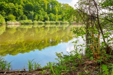 Yazın ormanlı tepelerin arasında göl manzarası. Sakin bir hava. Mavi gökyüzünün altında tatil ya da balık tutmak için açık hava ortamı. Sabah ışığında yaprak döken ağaçların olduğu yeşil manzaranın yansıması