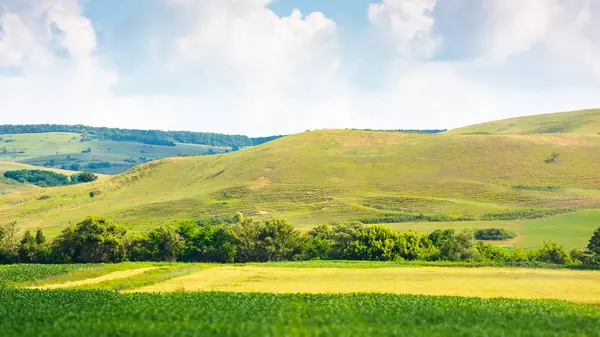 Kırsal alanlı bir manzara. Yazın Romanya 'nın dağlık kırsalında. Bulutlu gökyüzü. resimimsi dağlık arazi