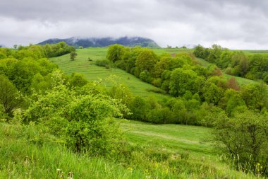İlkbaharda kırsal alanda tepede otlak. Yamaçtaki orman. Yağmurlu bir günde yeşil çimen ve yapraklı doğal manzara. Gökyüzündeki bulutlar uzak dağın tepesinde. uzak bölge 