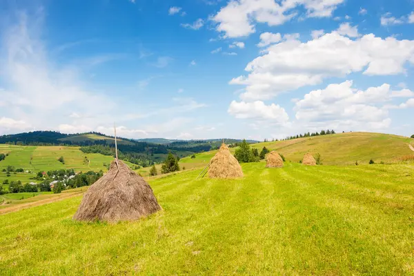 Yazın kırsal alan. Ukrayna 'nın dağlık kesiminde manzaralı bir hafta sonu. Bulutlu mavi bir gökyüzünün altında samanlığı olan kırsal bir manzara. Uzaktaki Carpathian köyü