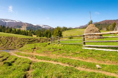 İlkbaharda Ukrayna 'nın dağlık kırsal manzarası. Hareketli manzara. Güneşli bir sabahta kırsal bir manzara. Tepedeki kozalaklı orman. Saman yığını ve ahşap çit mavi gökyüzünün altındaki yeşil çimenlik çayırda