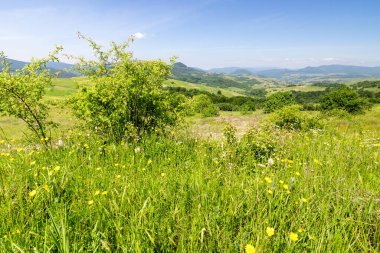 Yazın dağlık kırsal alan. Ormanlık tepe ve çimenlik çayırlar. Sıcak, güneşli bir gün. Gökyüzünün altında, uzak vadideki tüylü bulutlu köylü manzarası. Transcarpathian kırsal bölgesi