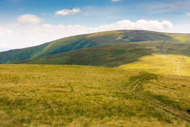 Yürüyüş için patikaları olan yeşil dağ manzarası. Tatil sezonu. Doğa tepesinden zirveye giden yol açık hava yolculuğu ve güzel manzara için. Yazın gökyüzü ve bulutlarla Alp turizmi manzarası