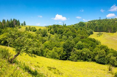 Yazın tepenin üzerinde ormanla birlikte sakin bir kırsal alan. Karpatlar 'da güneşli bir günde manzaralı açık hava macerası.