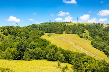 Yazın tepenin üzerinde ormanla birlikte sakin bir kırsal alan. Yokuşta yemyeşil çimenler. resimsel basitlik