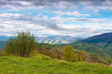 harika kırsal dağ manzarası baharı. Yuvarlanan tepeleri ve gökyüzünde bulutları olan kırsal bir manzara. Ukrayna 'nın resimli alp ortamı