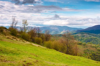 harika kırsal dağ manzarası baharı. Karpatlar 'ın arka planı ve vadisi çok güzeldir. uzak krasna sırtı