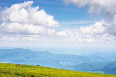 Ukrayna 'nın güzel Karpatya dağ manzarası. Yazın güneşli bir gün. Manzaralı uzak vadi manzarası. Bulutlu mavi gökyüzü. Slovakya ve Polonya sınırına yakın bir konumda