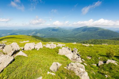 Yazın yeşil dağlık tepeler ve yamaçlar. Mavi gökyüzünün altında bulut olan çimlerin arasında taş ve kayalarla kaplı bir manzara. Açık hava macerası. Güneşli bir sabahta Ukrayna dağlarında manzaralı tatiller
