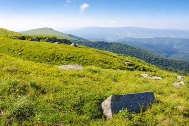 Tepenin yamacında beyaz keskin taşlar var. Ukrayna 'nın manzaralı seyahat yeri. Yazın güzel bir Karpatya dağ manzarası. Alp otlarının arasına dağılmış dev kayalar. Pürüzsüz dağın çarpıcı arazisi