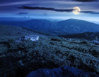 Yazın geceleri dağlık arazinin manzarası. Dolunay ışığında dağ manzarası. Harika Karpat Alpleri 'nde yürüyüş yapmak. yüksek irtifa görünümü ufukta geziniyor