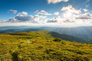 Akşam ışığında Karpatlar 'ın dağ manzarası. Güneş yazın Transcarpathia 'nın görkemli manzarasının üzerinde parlıyor. Bulutlu gün batımı