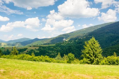 Ukrayna dağlarının tepesindeki çimenli dağlık çayır. Transcarpathia bölgesinde sürdürülebilir yaşam. Yazın Karpat Dağları. Mavi gökyüzünde yumuşak bulutlar olan güneşli bir hava. manzara görünümü