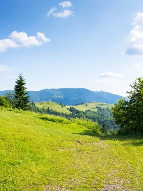Yazın dağ manzarası. Karpatlar 'ın dağ sıraları. Yeşil çayırları ve yuvarlanan tepeleri olan güzel bir kırsal. Güneşli bir öğleden sonra. Hafta sonu gezintisi manzarası
