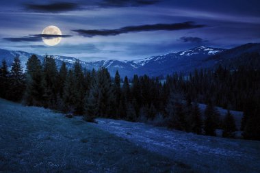 Geceleri dağlık bir kırsal alan. Dolunay ışığında tepedeki kozalaklı orman. Kara bulutlu, yıldızlı bir gökyüzünün altında kar tepeleri.