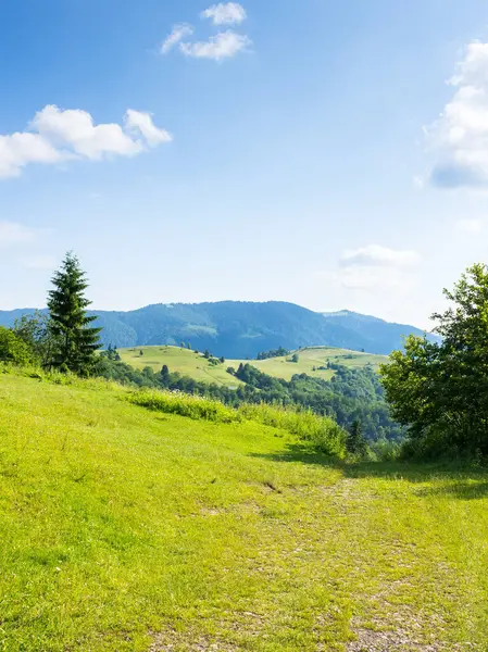 Yazın dağ manzarası. Karpatlar 'ın dağ sıraları. Yeşil çayırları ve yuvarlanan tepeleri olan güzel bir kırsal. Güneşli bir öğleden sonra. Hafta sonu gezintisi manzarası