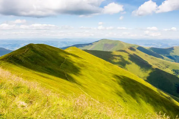 Yazın Borzhava Tepesi manzarası. Açık hava macerası. Güneşli bir günde Karpat Dağları 'nın Alp manzarası. Çimenli çayırlar ve yuvarlanan tepeler. Ukrayna 'ya git. güzel manzara